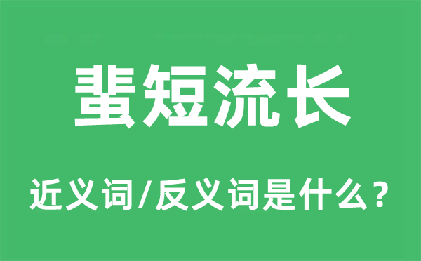 闲言闲语的近义词和反义词是甚么,闲言闲语是甚么意义