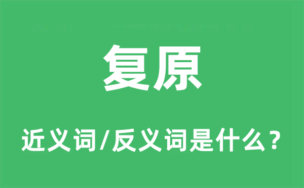 回复回复的近义词和反义词是甚么,回复回复是甚么意义
