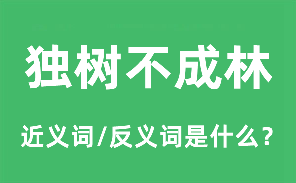 独树不成林的近义词和反义词是甚么,独树不成林是甚么意义