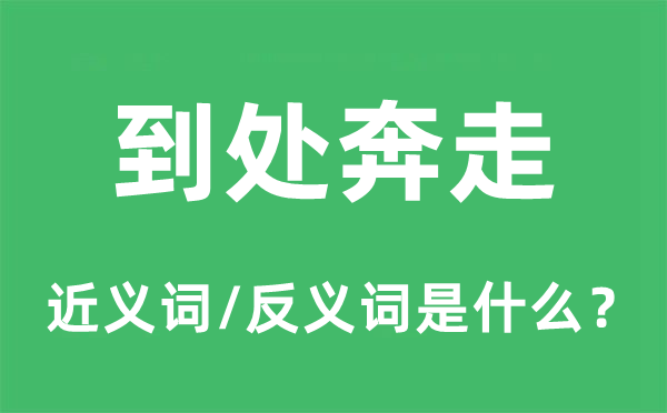 处处奔忙的近义词和反义词是甚么,处处奔忙是甚么意义