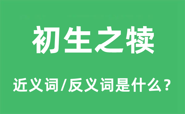 初生之犊的近义词和反义词是甚么,初生之犊是甚么意义