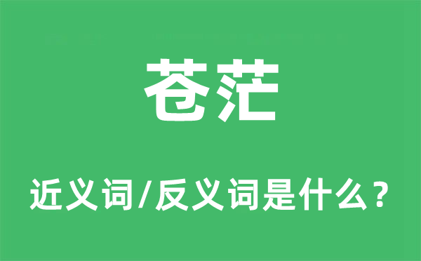 迷茫的近义词和反义词是甚么,迷茫是甚么意义