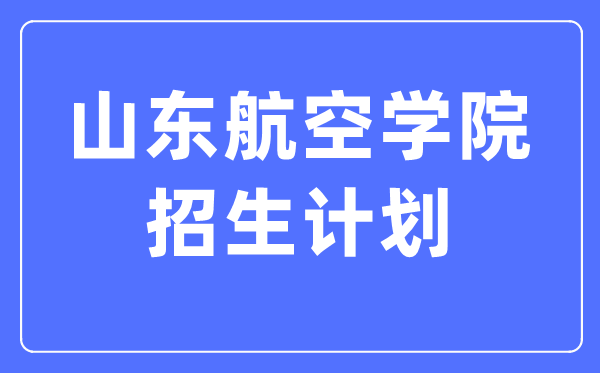 2024年山东航空学院各省招生存划及各专业招生人数是几多