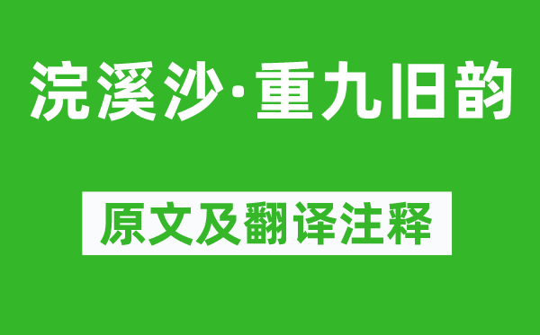 苏轼《浣溪沙·重九旧韵》原文及翻译正文,诗意诠释