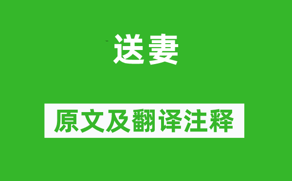 杨志坚《送妻》原文及翻译正文,诗意诠释