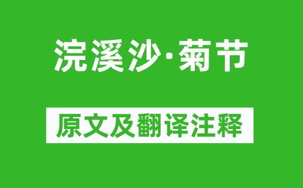 苏轼《浣溪沙·菊节》原文及翻译正文,诗意诠释
