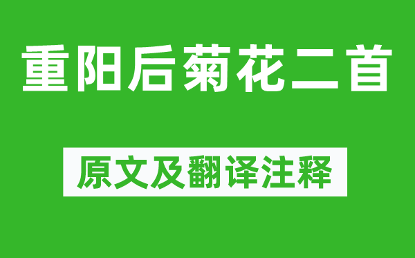 范成大《重阳后菊花二首》原文及翻译正文,诗意诠释