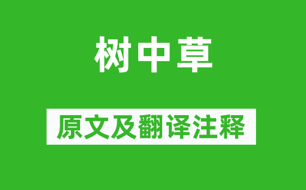 李白《树中草》原文及翻译正文,诗意诠释