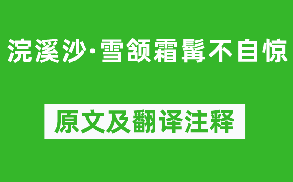 苏轼《浣溪沙·雪颔霜髯不自惊》原文及翻译正文,诗意诠释