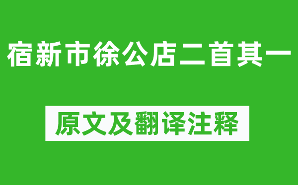 杨万里《宿新市徐公店二首其一》原文及翻译正文,诗意诠释