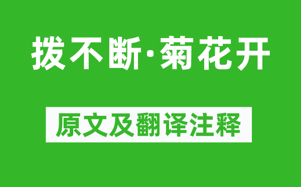 马致远《拨不时·菊花开》原文及翻译正文,诗意诠释