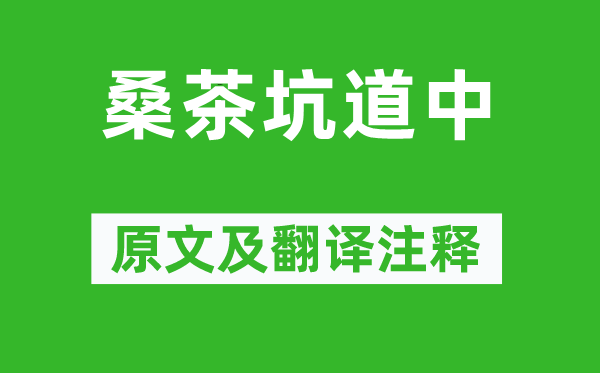 杨万里《桑茶坑道中》原文及翻译正文,诗意诠释