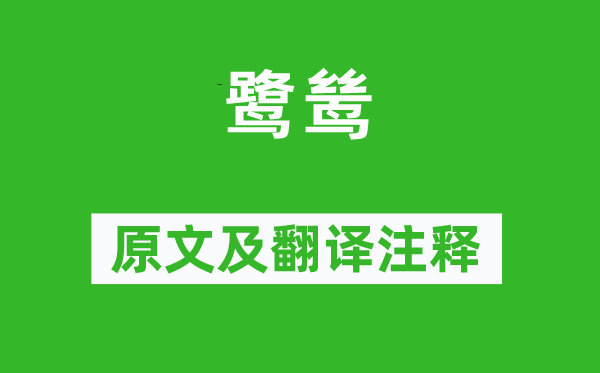 郑谷《鹭鸶》原文及翻译正文,诗意诠释