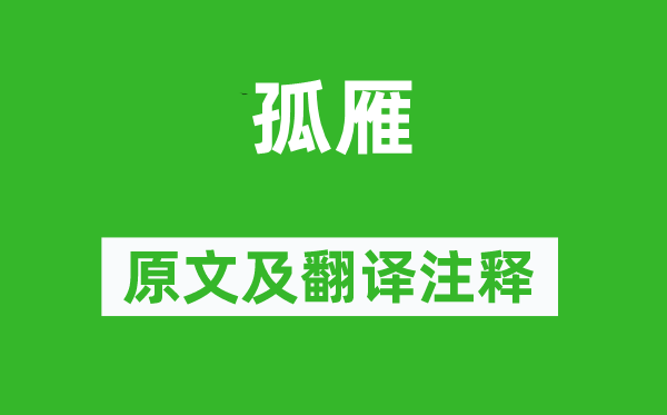 杜甫《孤雁》原文及翻译正文,诗意诠释
