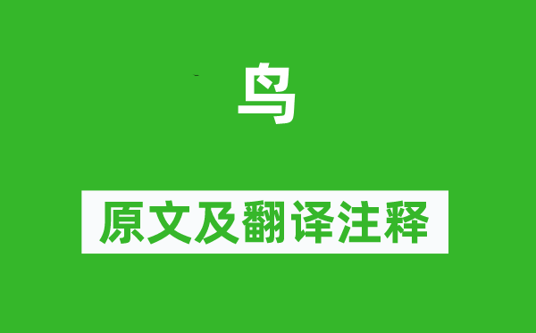 白居易《鸟》原文及翻译正文,诗意诠释