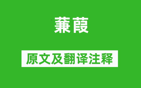 诗经·国风《蒹葭》原文及翻译正文,诗意诠释