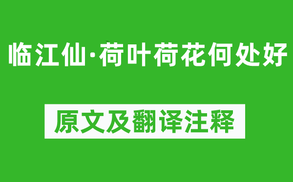 元好问《临江仙·荷叶荷花那边好》原文及翻译正文,诗意诠释