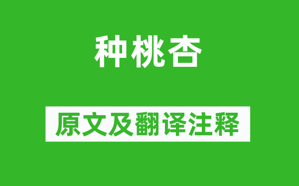 白居易《种桃杏》原文及翻译正文,诗意诠释
