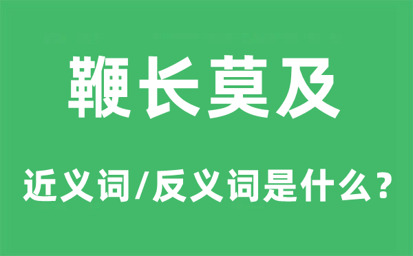 遥相照应的近义词和反义词是甚么,遥相照应是甚么意义