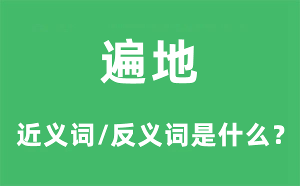 各处的近义词和反义词是甚么,各处是甚么意义