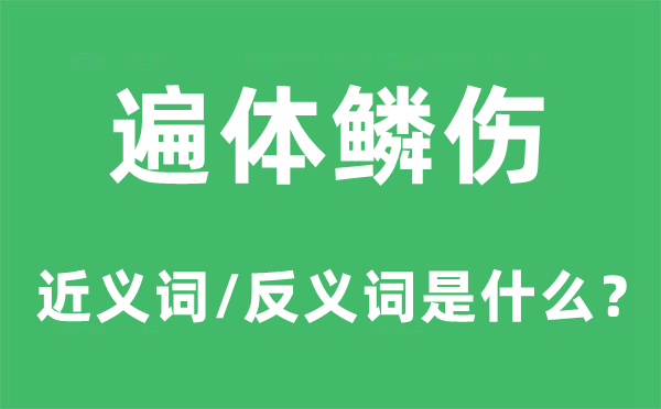 体无完肤的近义词和反义词是甚么,体无完肤是甚么意义