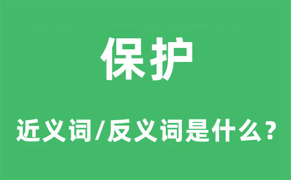 掩护的近义词和反义词是甚么,掩护是甚么意义