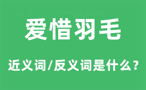 爱护羽毛的近义词和反义词是甚么,爱护羽毛是甚么意义