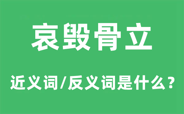 哀毁骨立的近义词和反义词是甚么,哀毁骨立是甚么意义