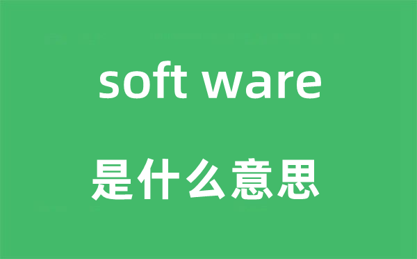 soft ware是甚么意义,中文翻译是甚么