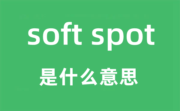 soft spot是甚么意义,中文翻译是甚么
