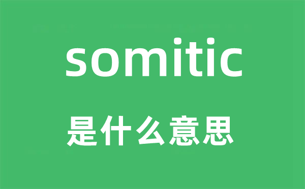 somitic是甚么意义,somitic怎样读,中文翻译是甚么