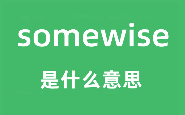 somewise是甚么意义,somewise怎样读,中文翻译是甚么
