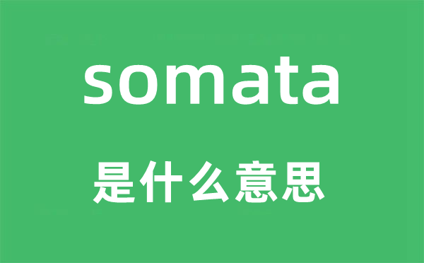 somata是甚么意义,somata怎样读,中文翻译是甚么
