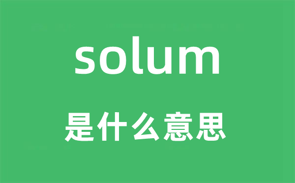 solum是甚么意义,solum怎样读,中文翻译是甚么