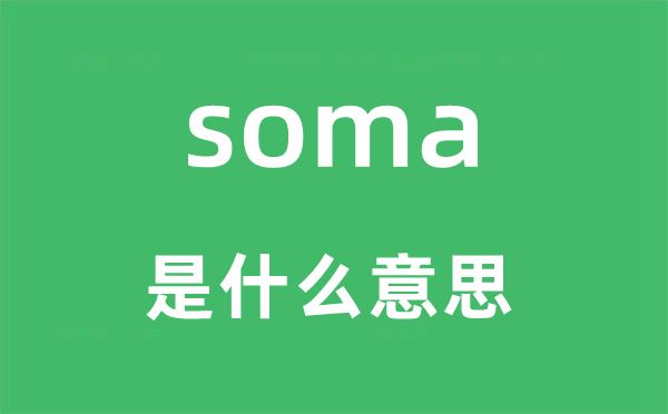 soma是甚么意义,soma怎样读,中文翻译是甚么