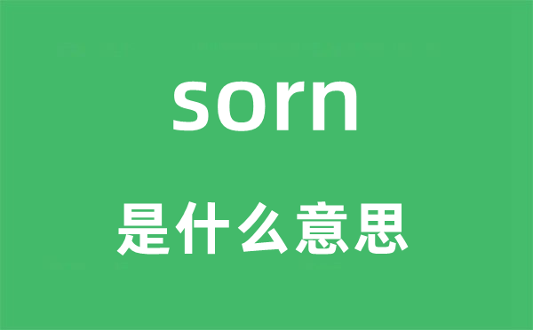 sorn是甚么意义,sorn怎样读,中文翻译是甚么