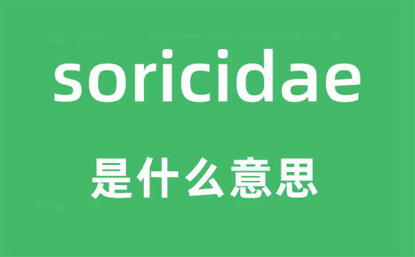 soricidae是甚么意义,soricidae怎样读,中文翻译是甚么