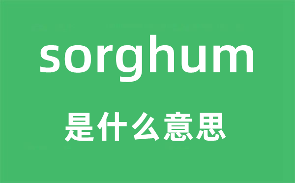 sorghum是甚么意义,sorghum怎样读,中文翻译是甚么