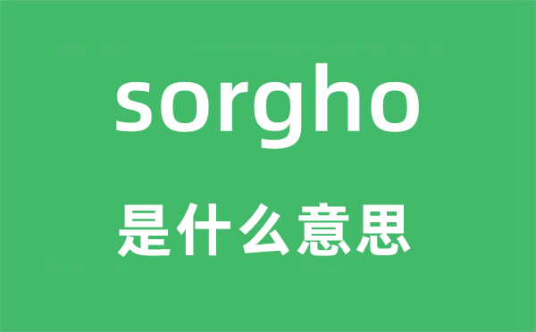 sorgho是甚么意义,sorgho怎样读,中文翻译是甚么