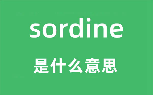sordine是甚么意义,sordine怎样读,中文翻译是甚么