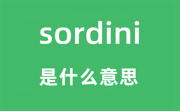 sordini是甚么意义,sordini怎样读,中文翻译是甚么
