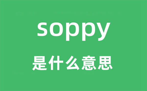 soppy是甚么意义,soppy怎样读,中文翻译是甚么