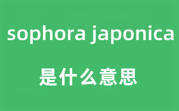 sophora japonica是甚么意义,中文翻译是甚么