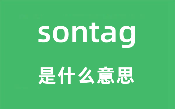 sontag是甚么意义,sontag怎样读,中文翻译是甚么