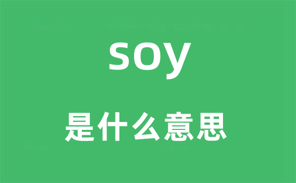 soy是甚么意义,soy怎样读,中文翻译是甚么