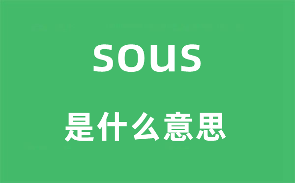 sous是甚么意义,sous怎样读,中文翻译是甚么