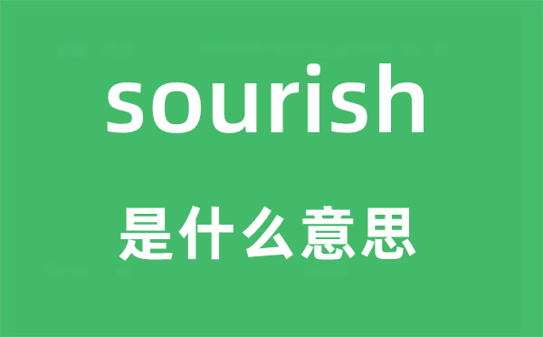 sourish是甚么意义,sourish怎样读,中文翻译是甚么
