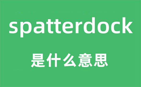 spatterdock是甚么意义,spatterdock怎样读,中文翻译是甚么