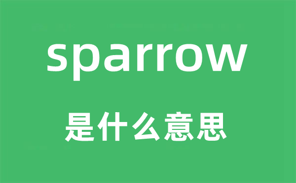 sparrow是甚么意义,sparrow怎样读,中文翻译是甚么