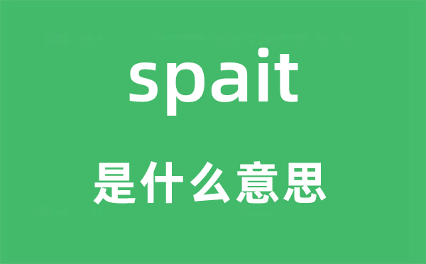 spait是甚么意义,spait怎样读,中文翻译是甚么